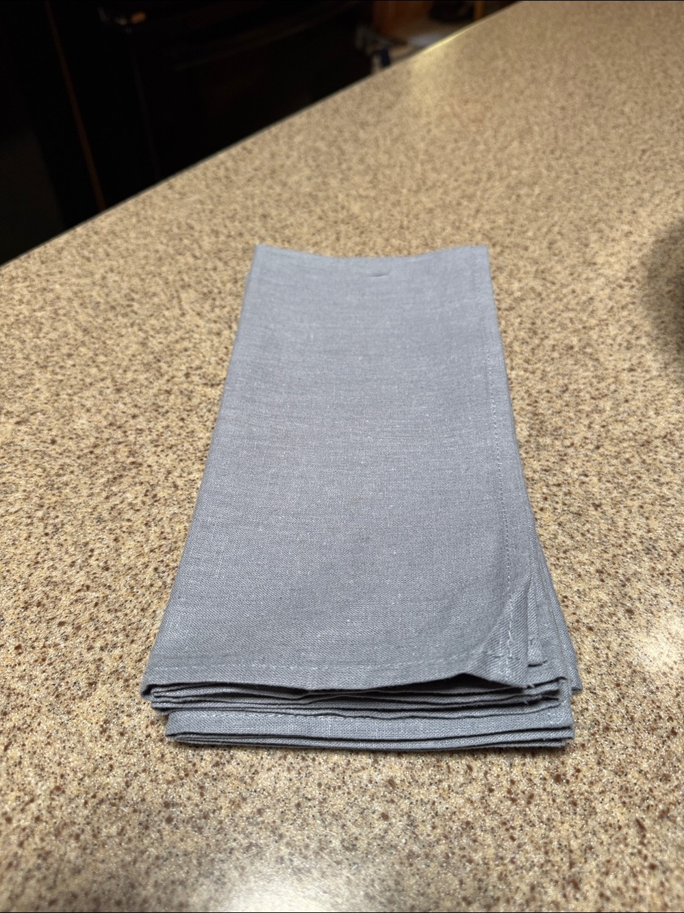 Napkins cloth set of 4. Slate Blue. 20"x20". NWOT